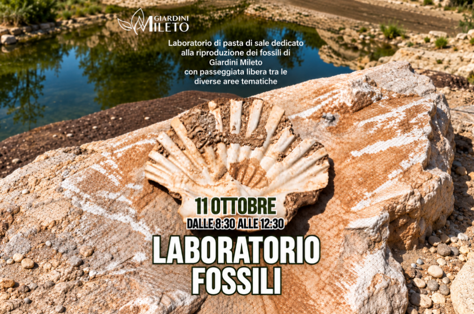 11 Ottobre 2026 🌿 Laboratorio Fossili